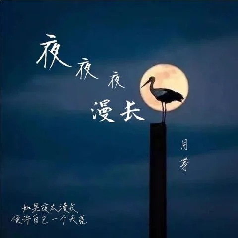 水手 (DJ版)-月芽