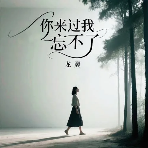 你來過我忘不了-龍翼