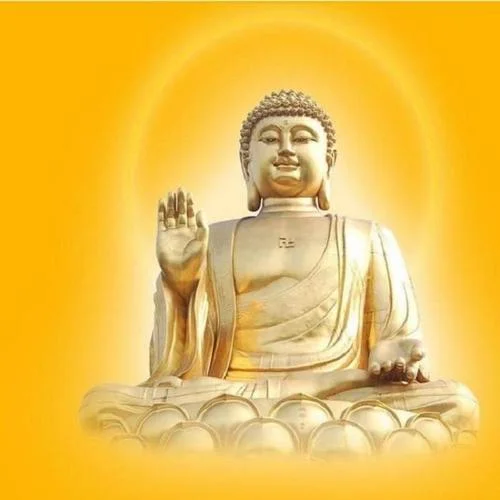 阿彌陀佛(念佛機(jī))-咖啡屋上的小喵