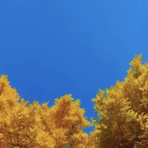 云南打跳 (這是什么地方)-Shake99