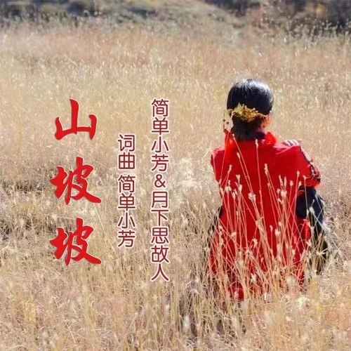 山坡坡(純音樂)-簡單小芳
