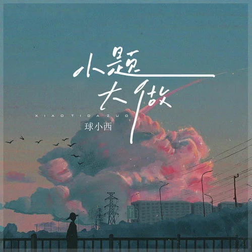 小題大做-球小西