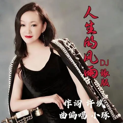 人生的風(fēng)雨(DJ琢版)-小琢