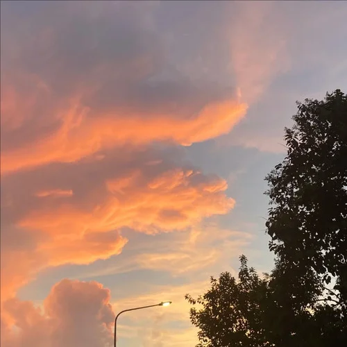 红尘来去一场梦 (摇滚版)-大头针