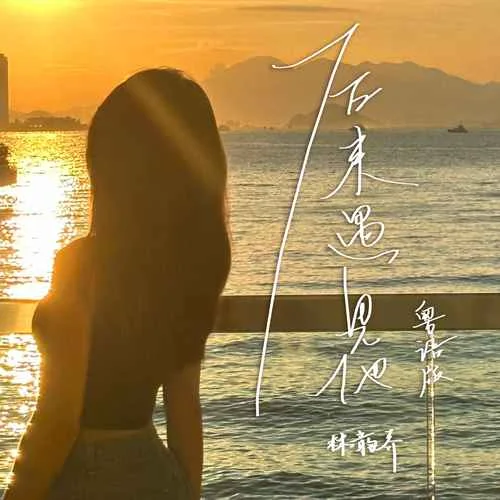 后來遇見他(粵語版)-林韻喬