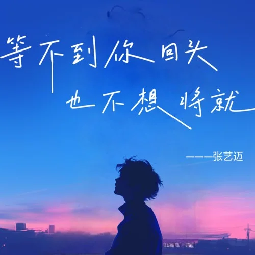 等不到你回頭也不想將就-張藝邁