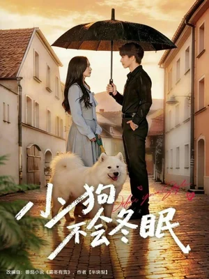 小狗不會冬眠（70集）張皓文＆喬槿 - 短劇資源下載