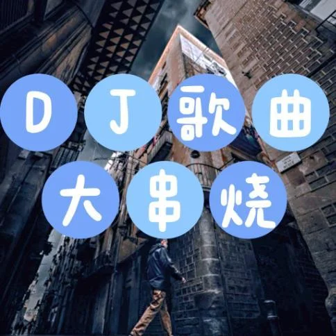 幾時(shí)交叉 di di da 下個(gè)路口再見吧 (DJ車載熱歌串燒版)-是花花吖