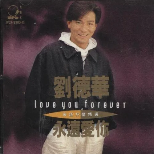 獻(xiàn)給你(粵)-劉德華