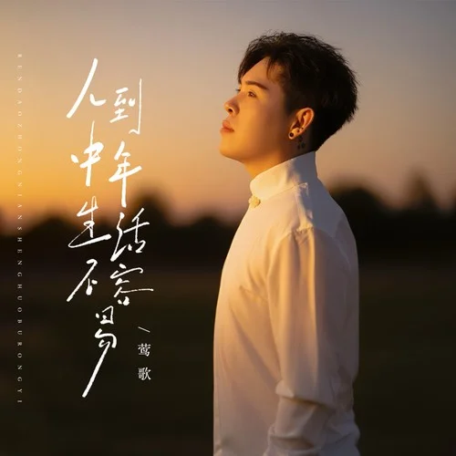 人到中年生活不容易-鶯歌