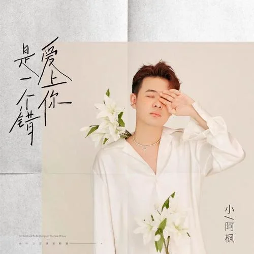 愛(ài)上你是一個(gè)錯(cuò)-小阿楓