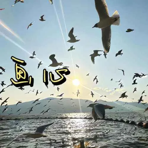 畫心（猜不透是你瞳孔的顏色）-曹一陽