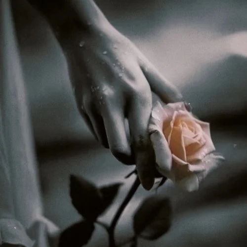 下輩子如果我還記得你-大頭針AI