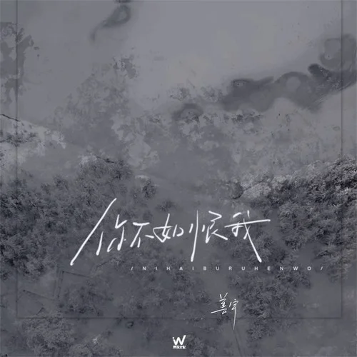 你不如恨我-善宇