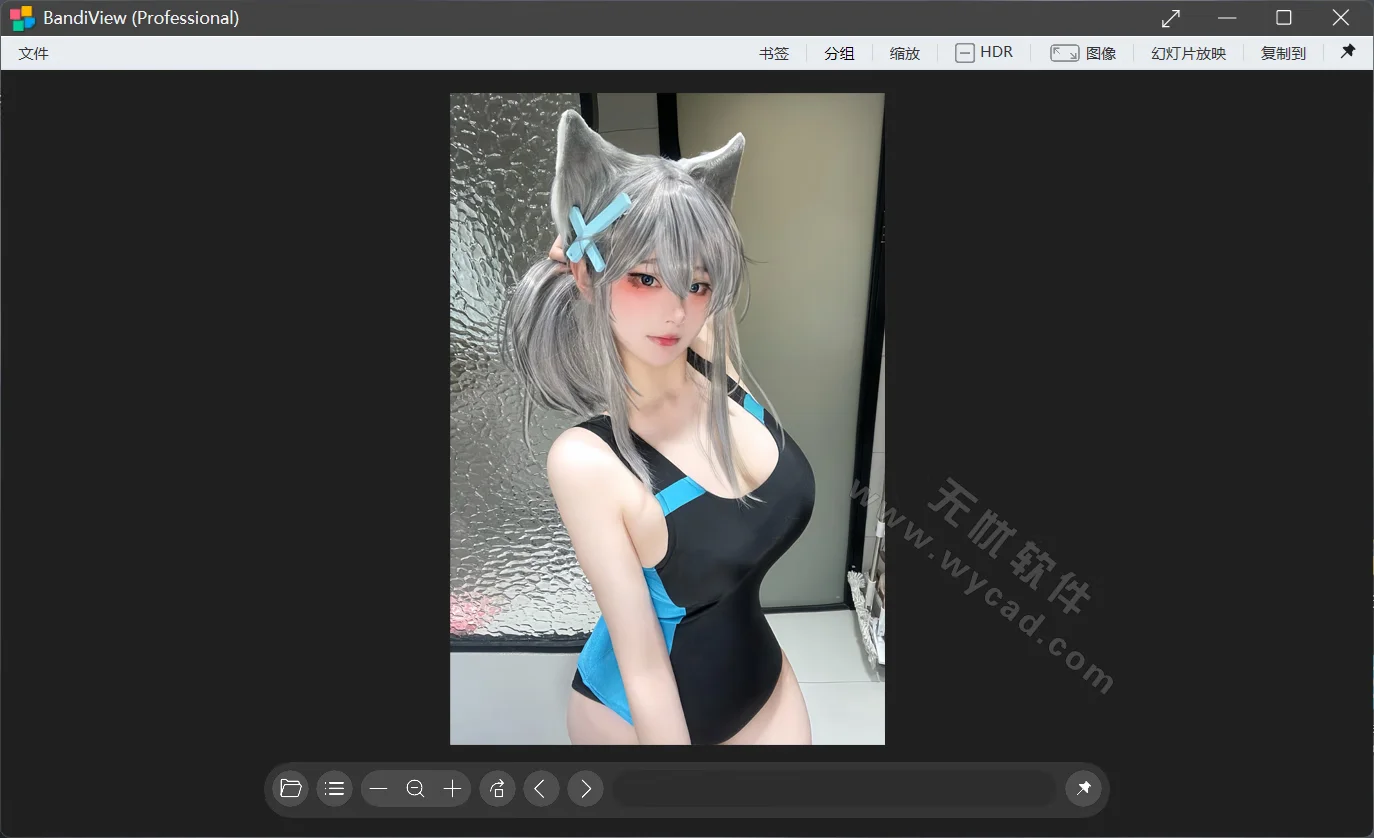 圖像查看及轉(zhuǎn)換器 | BandiView v7.24 中文綠色版 & 安裝版