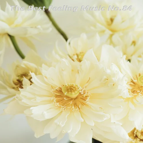 time machine (feat.aren park)(2024 Edit)-mj apanay&aren park