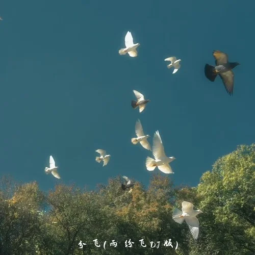 分飛 (雨紛飛DJ版)-DJ.SmartD