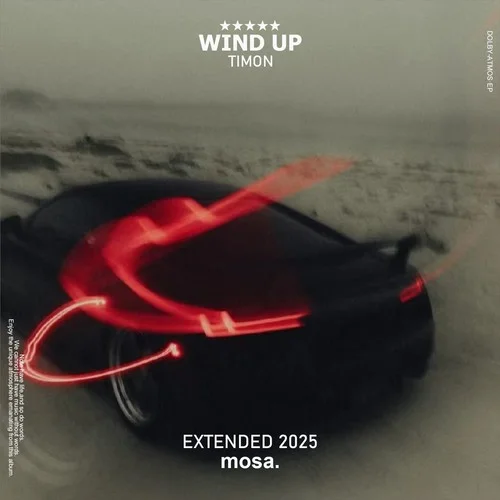 Wind Up-Timon