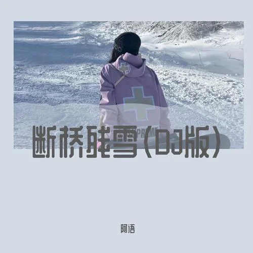 斷橋殘雪(DJ版)-阿語