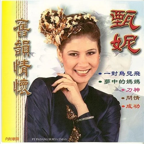 夢中的媽媽-甄妮