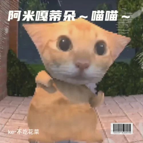 阿米嘎蒂朵~喵喵~-ke-不吃花菜