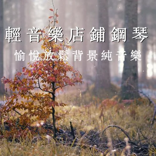 輕音樂店鋪-輕松門店