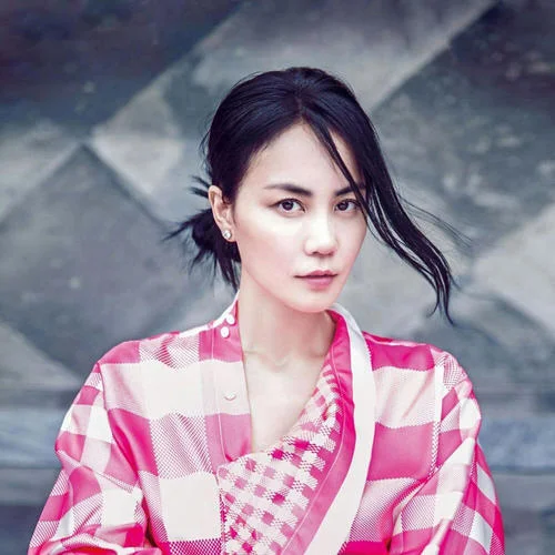 容易受傷的女人 (國語清唱)-王菲