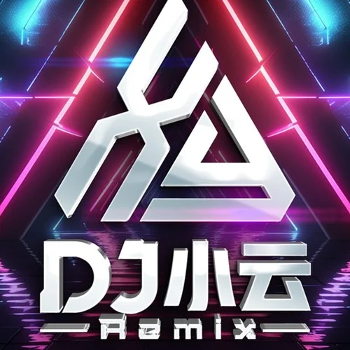 都是月亮惹的禍(DJ版)-DJ小云