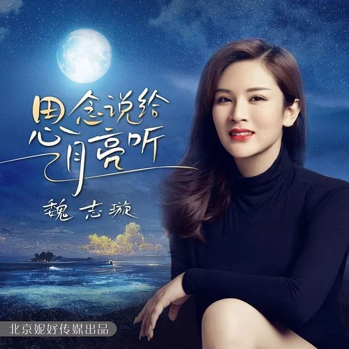 思念說給月亮聽（DJ默涵版）-魏志璇