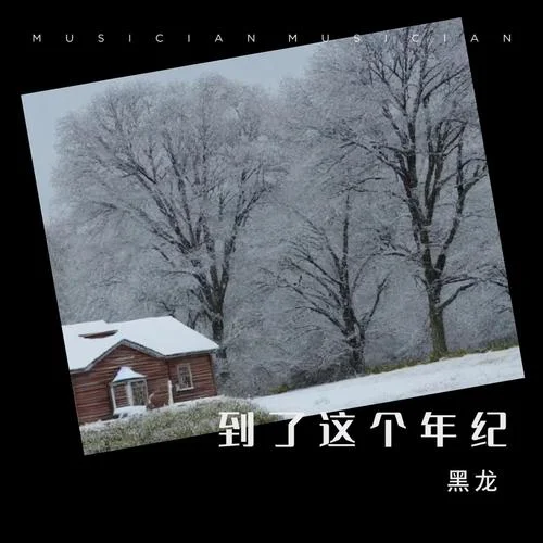 到了这个年纪-黑龙