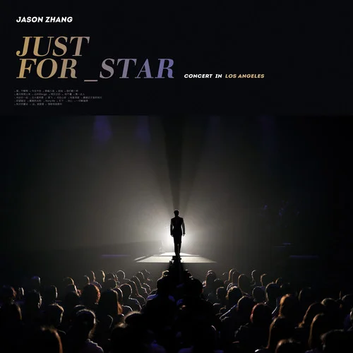 何必在一起(Live)-张杰