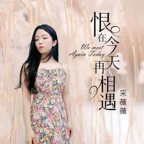 恨在今天再相遇(深情女聲版)-采薇薇