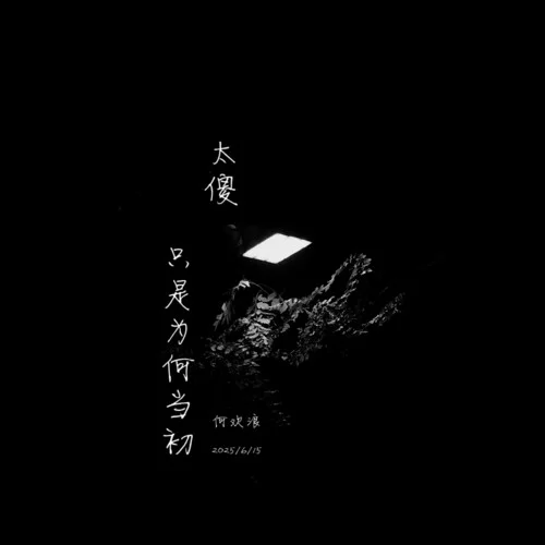 太傻 (只是為何當(dāng)初)-何歡浪