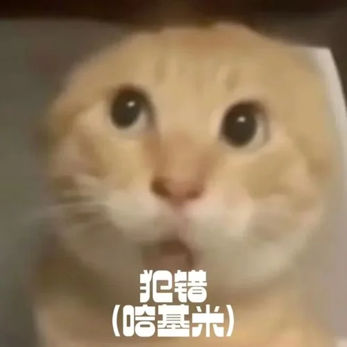 犯错(哈基米)-秃头少女