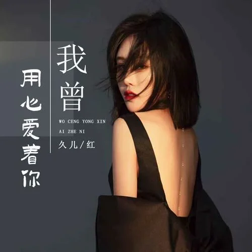 我曾用心愛著你(網(wǎng)友改編)-久兒紅