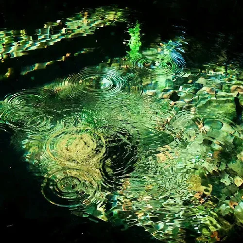 輕音樂(lè)助眠 阿爾法腦波音樂(lè)-花與海