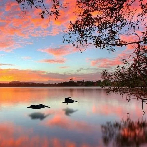 成都 (cover: 趙雷)-傅祥