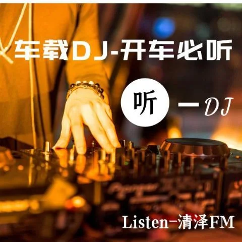 九妹(DJ版)-清澤