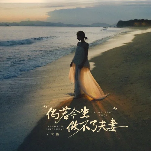 倘若我們做不了夫妻（DJ阿尼版）-大潞