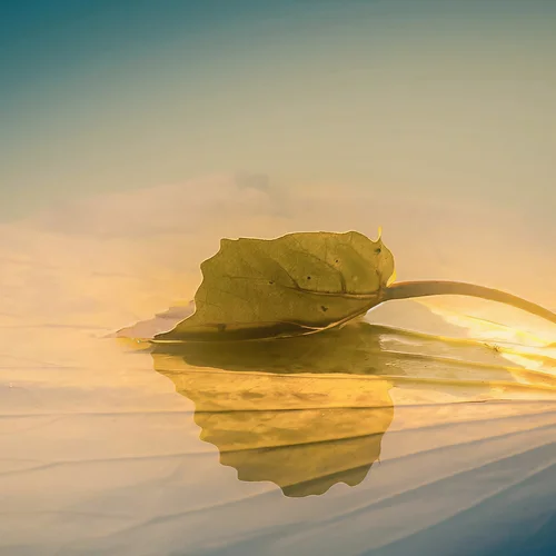 错位时空(五四特别版)-纯音乐&冰冰&群星