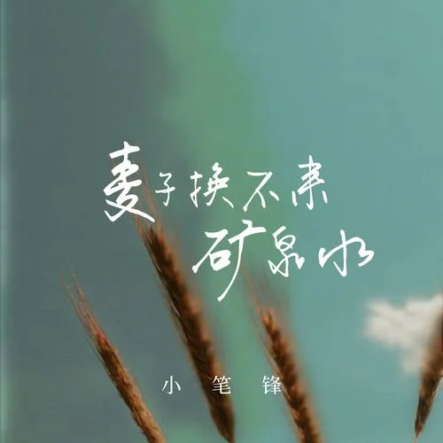 麥子換不來(lái)礦泉水 (DJ版)-小筆鋒