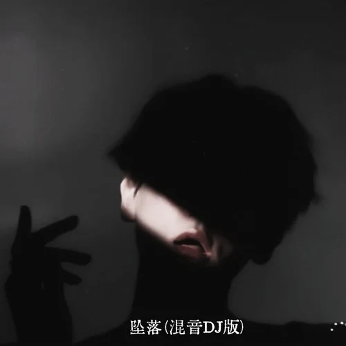 坠落 (混音DJ版)-DJ铁柱