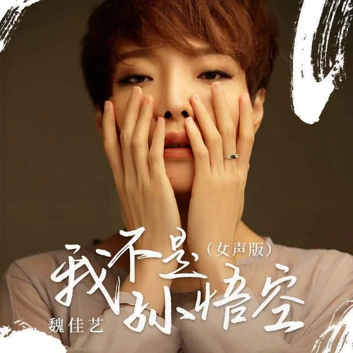 我不是孫悟空(DJ默涵版)-魏佳藝