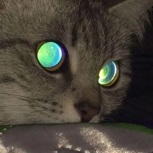 all I want is you(Explicit)-Ryugan