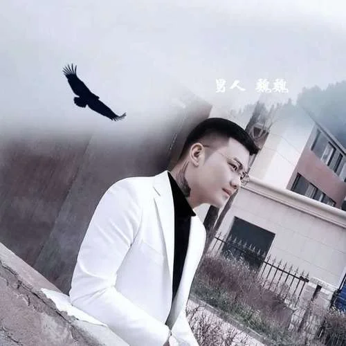 莫問江湖路 他鄉(xiāng)煙雨深-莫忘魏魏