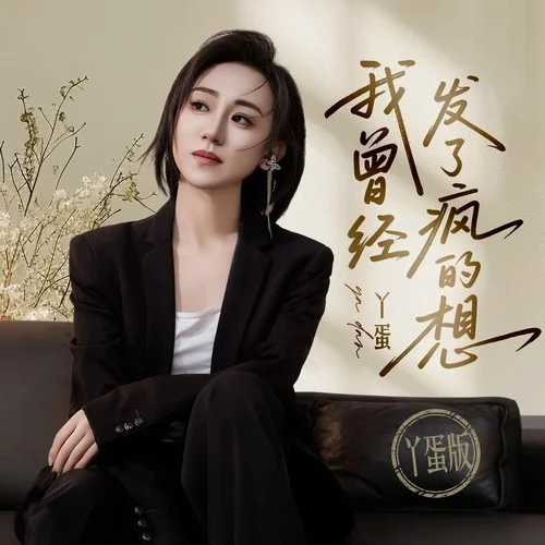 我曾經(jīng)發(fā)了瘋的想 (DJ沈念版)-丫蛋