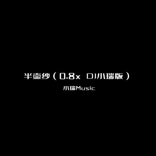 半壺紗(DJ版)-小瑞