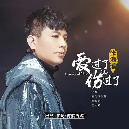 爱过了也伤过了-张海滨