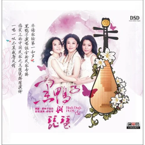 掀起你的盖头来-黑鸭子演唱组