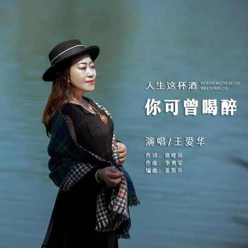 人生這杯酒你可曾喝醉(DJ默涵版)-王愛華